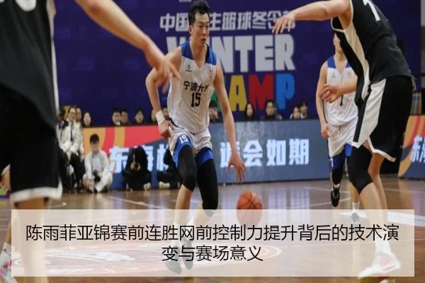 陈雨菲亚锦赛前连胜网前控制力提升背后的技术演变与赛场意义（ayx.comapp）