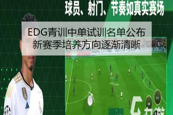 EDG青训中单试训名单公布 新赛季培养方向逐渐清晰（ayx.comapp）